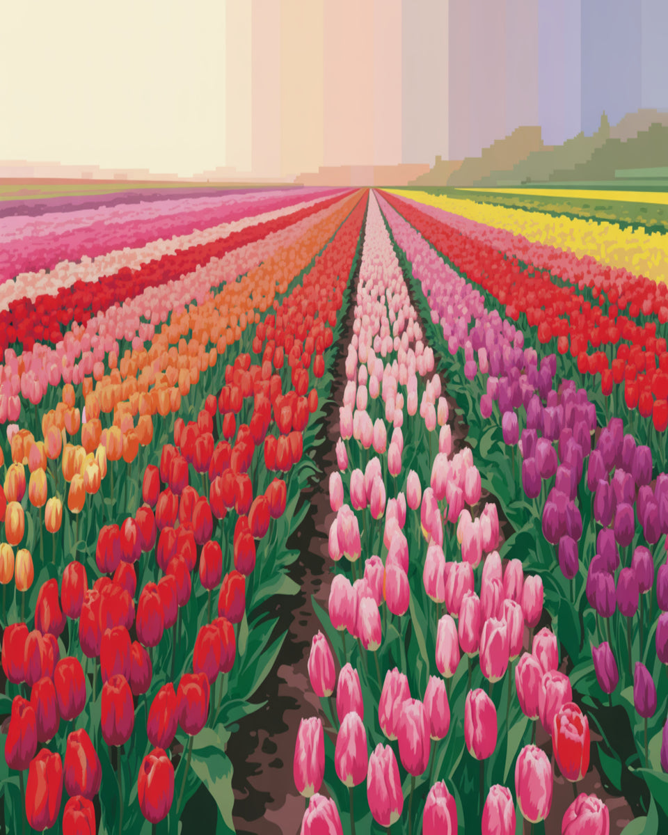 Sunrise Tulip Field
