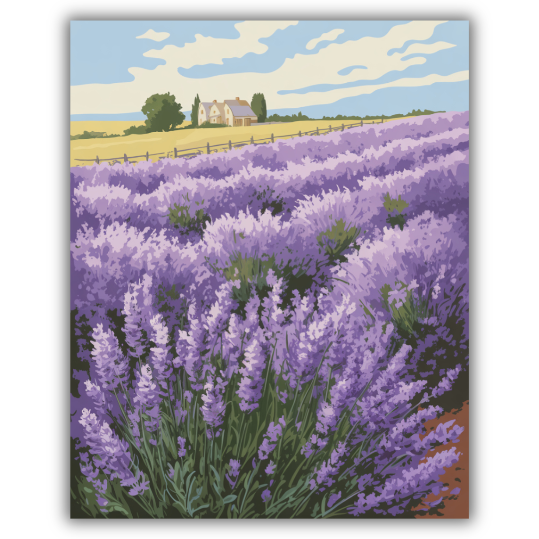 Lavender Field