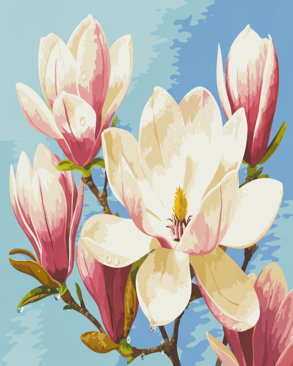 Magnolia Morning Light