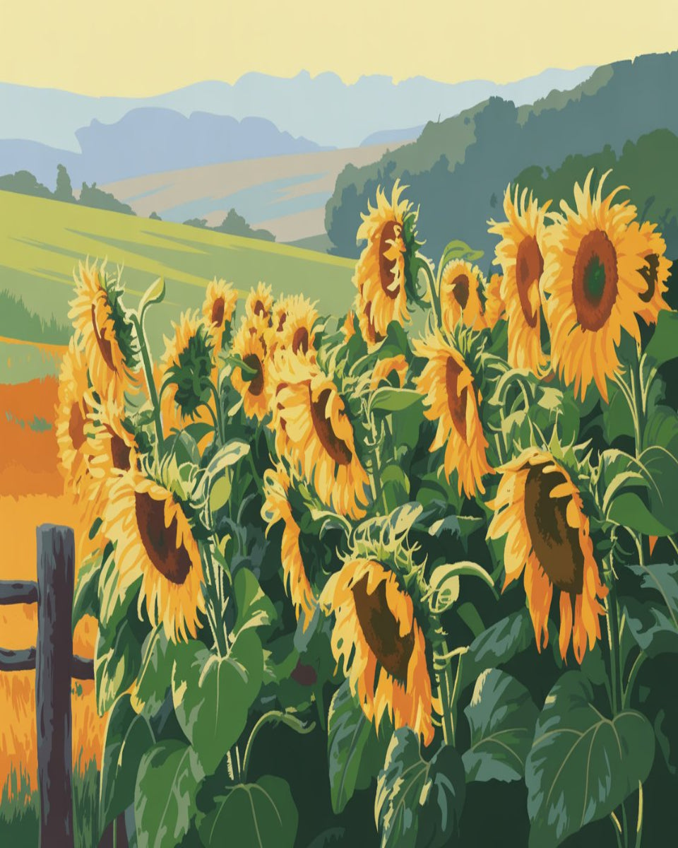 Sunflower Valley Bloom