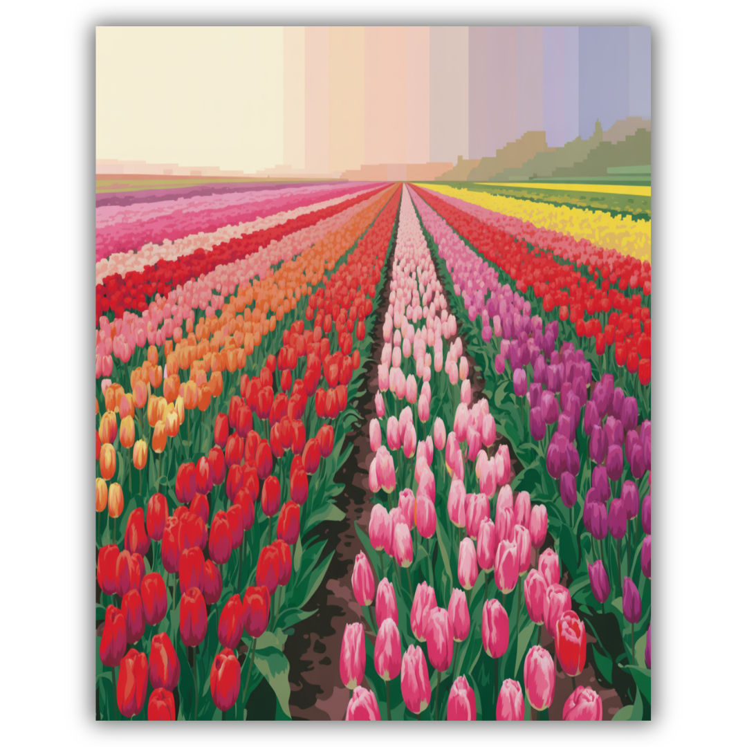 Sunrise Tulip Field